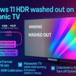 Windows 11 HDR washed out on Panasonic TV